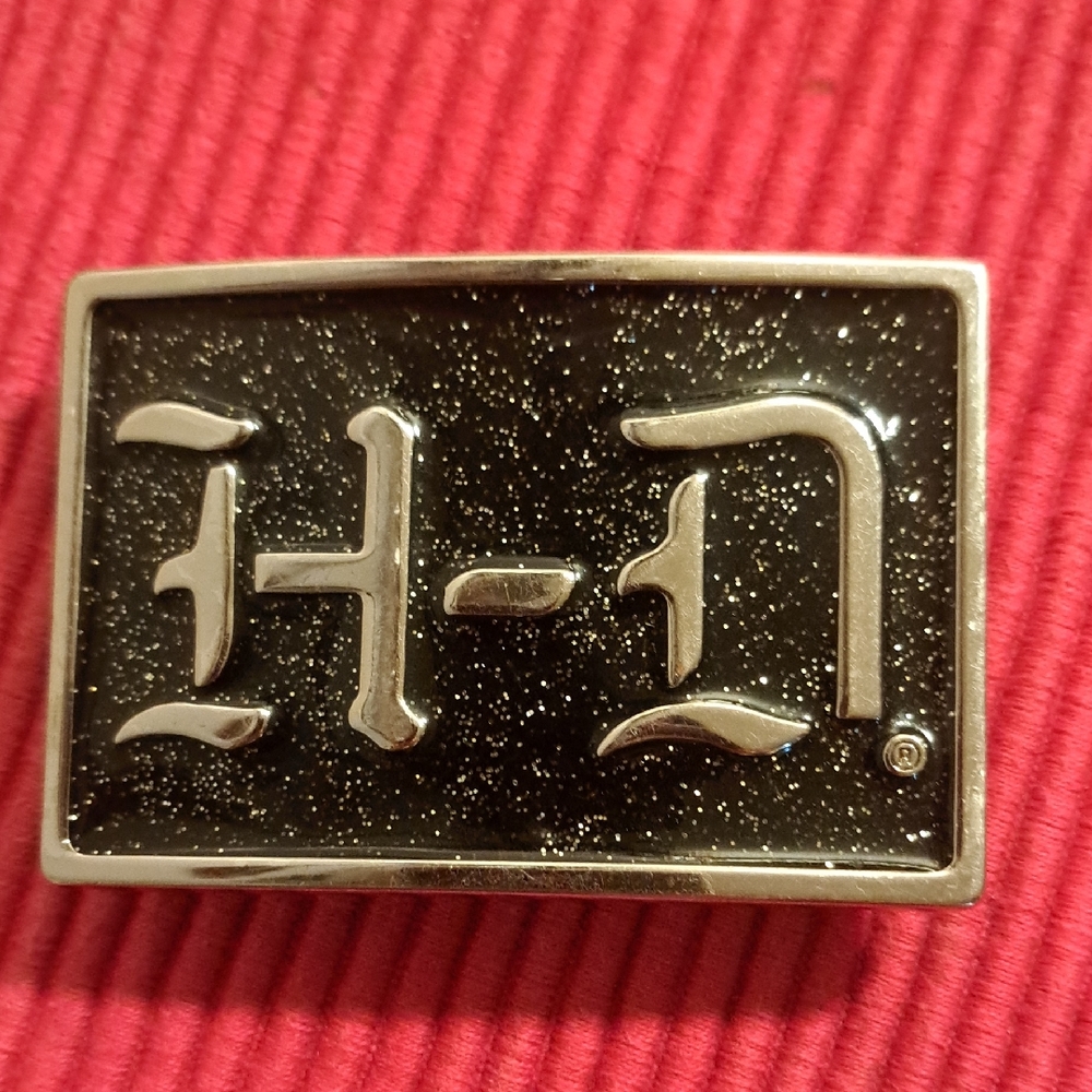 Black and Silver Belt Buckle